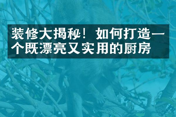 装修大揭秘！如何打造一个既漂亮又实用的厨房？