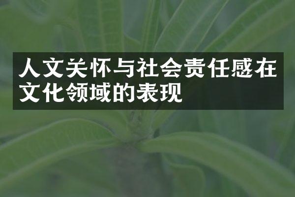 人文关怀与社会责任感在文化领域的表现