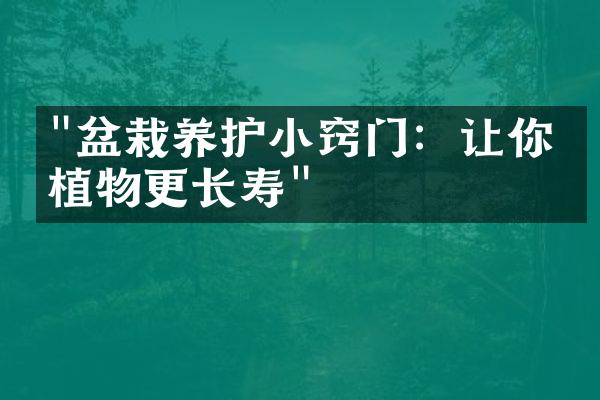 "盆栽养护小窍门：让你的植物更长寿"