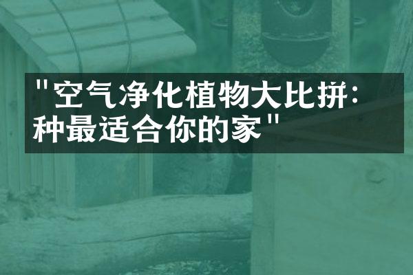 "空气净化植物大比拼：哪种最适合你的家"