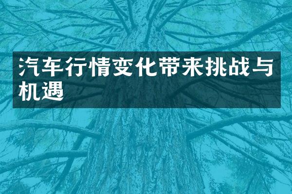 汽车行情变化带来挑战与机遇