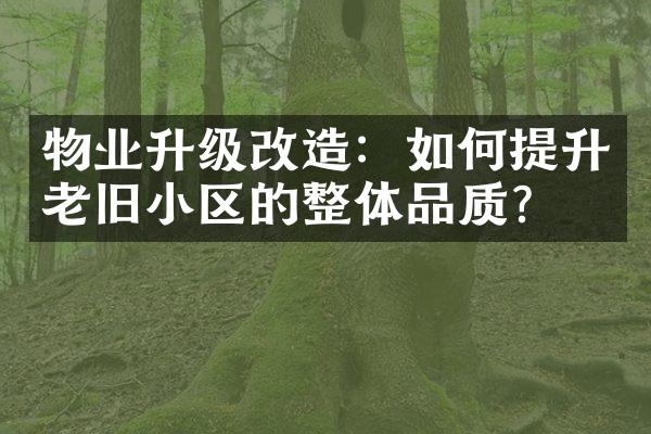 物业升级改造：如何提升老旧小区的整体品质？