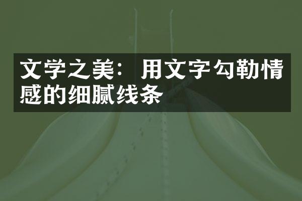 文学之美：用文字勾勒情感的细腻线条