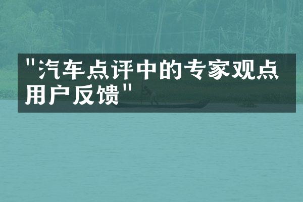 "汽车点评中的专家观点和用户反馈"