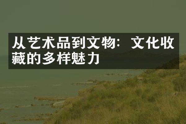 从艺术品到文物：文化收藏的多样魅力