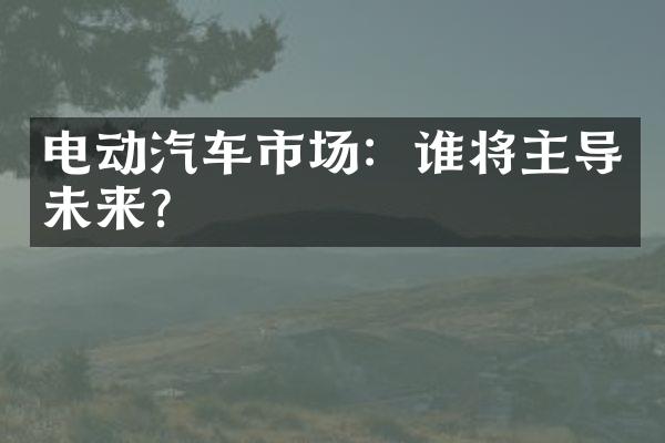 电动汽车市场：谁将主导未来？