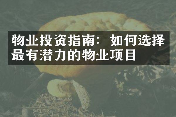 物业投资指南：如何选择最有潜力的物业项目