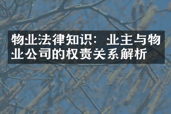 物业法律知识：业主与物业公司的权责关系解析