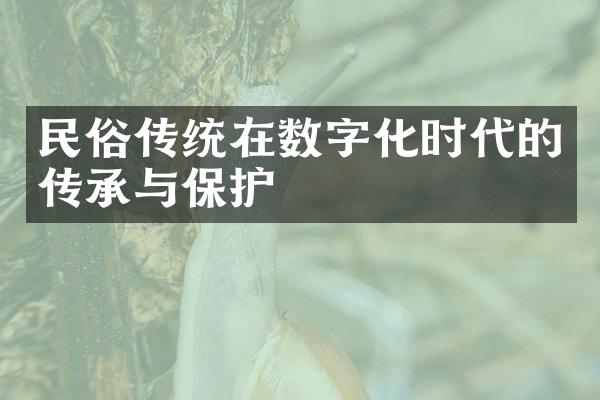 民俗传统在数字化时代的传承与保护