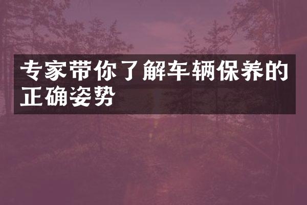 专家带你了解车辆保养的正确姿势