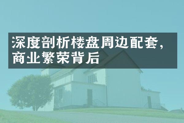 深度剖析楼盘周边配套，商业繁荣背后