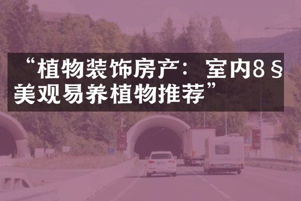 “植物装饰房产：室内8种美观易养植物推荐”