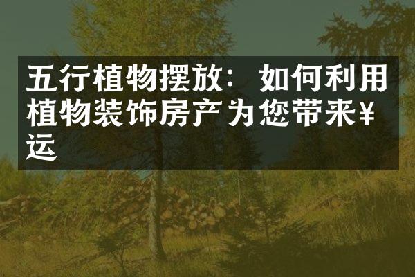 五行植物摆放：如何利用植物装饰房产为您带来好运