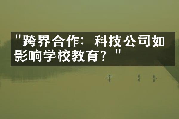 "跨界合作：科技公司如何影响学校教育？"