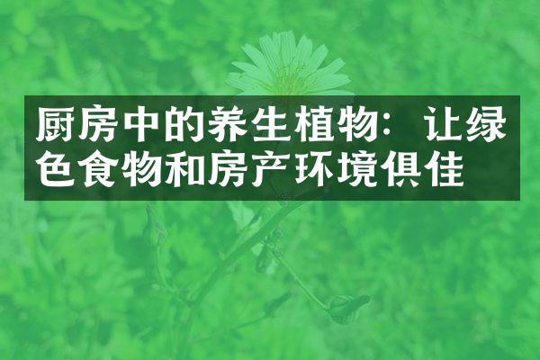 厨房中的养生植物：让绿色食物和房产环境俱佳