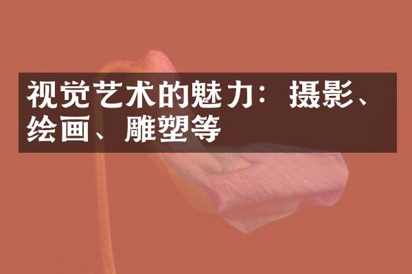 视觉艺术的魅力：摄影、绘画、雕塑等