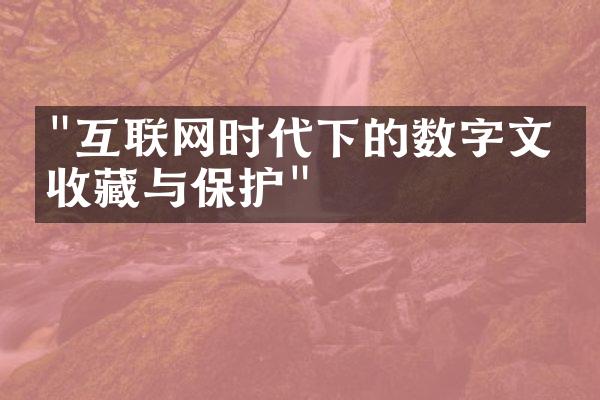 "互联网时代下的数字文化收藏与保护"