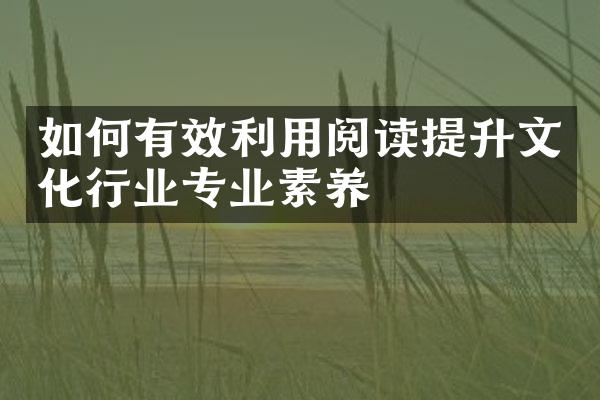 如何有效利用阅读提升文化行业专业素养