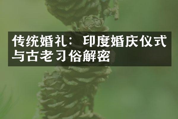 传统婚礼：印度婚庆仪式与古老俗