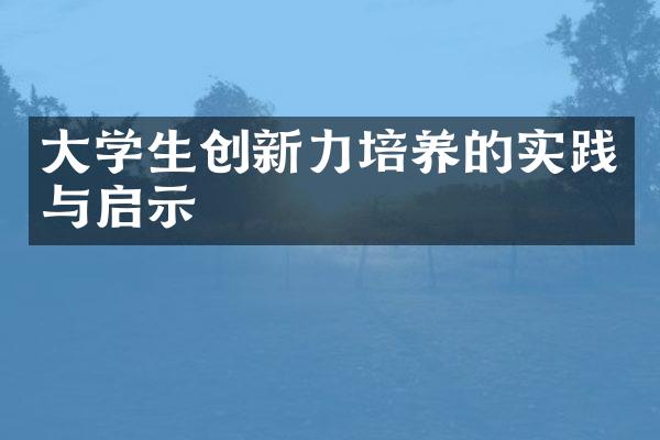 大学生创新力培养的实践与启示