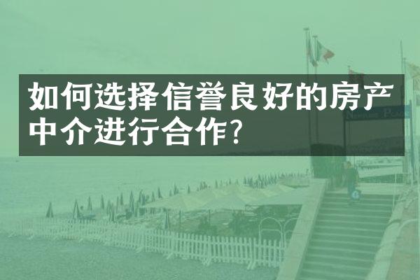 如何选择信誉良好的房产中介进行合作？