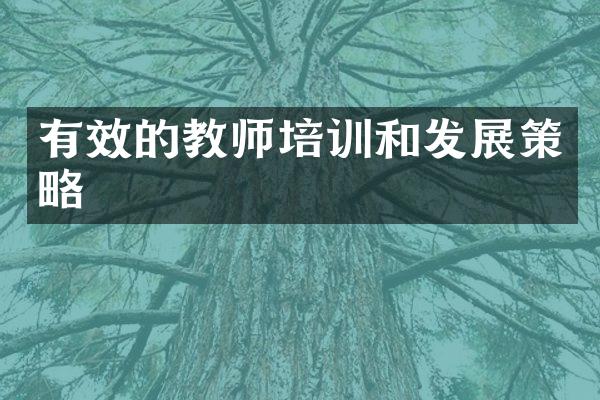 有效的教师培训和发展策略