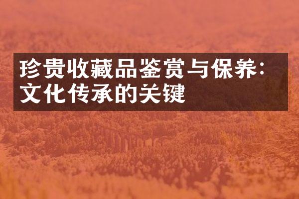 珍贵收藏品鉴赏与保养：文化传承的关键