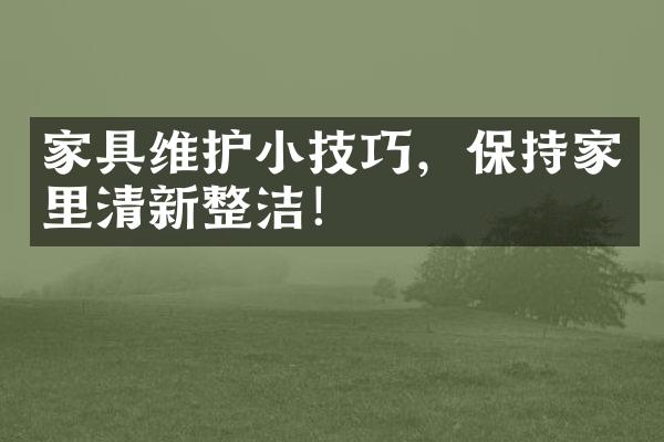 家具维护小技巧，保持家里清新整洁！