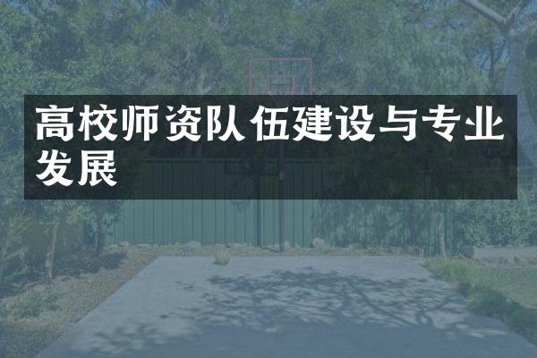 高校师资队伍建设与专业发展