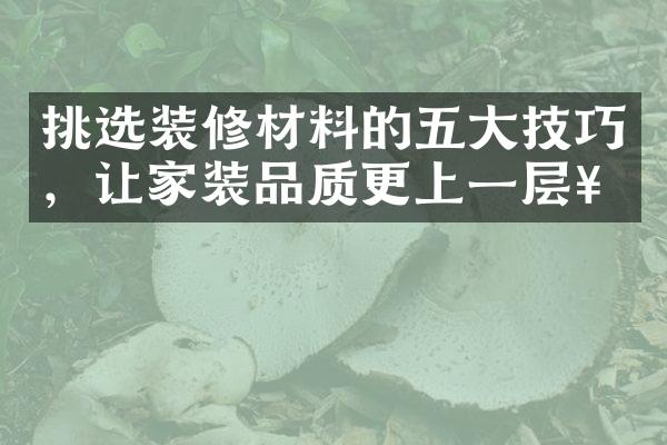 挑选装修材料的五大技巧，让家装品质更上一层楼