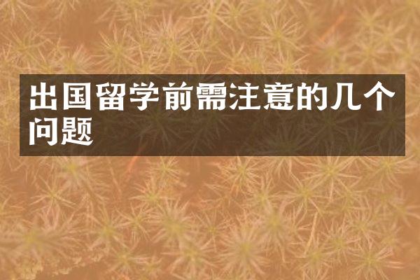 出国留学前需注意的几个问题