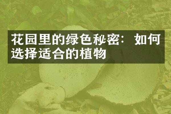 花园里的绿色秘密：如何选择适合的植物