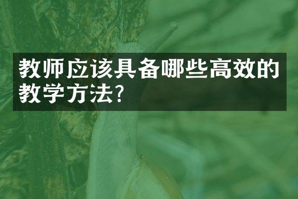 教师应该具备哪些高效的教学方法？