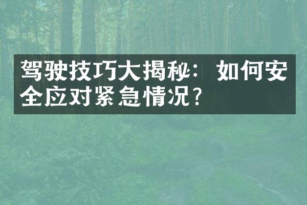 驾驶技巧大揭秘：如何安全应对紧急情况？