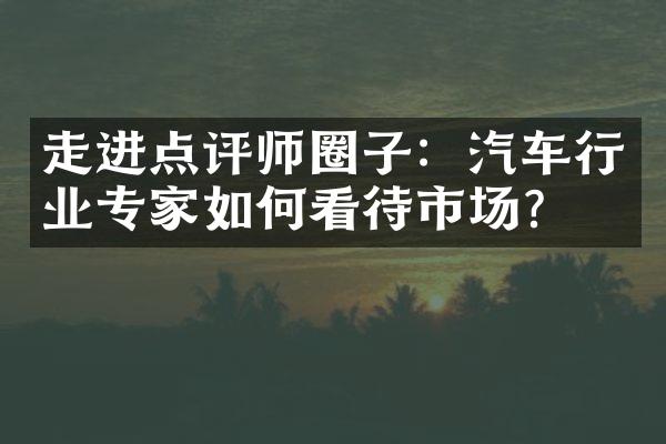 走进点评师圈子：汽车行业专家如何看待市场？