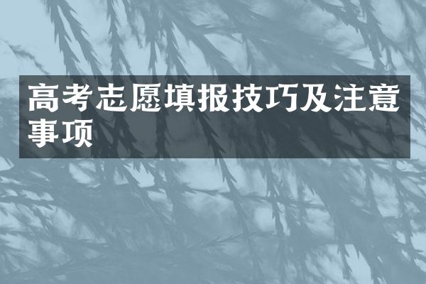 高考志愿填报技巧及注意事项