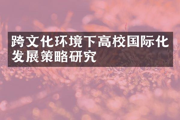 跨文化环境下高校国际化发展策略研究