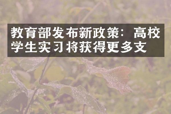 教育发布新政策：高校学生实将获得更多支持