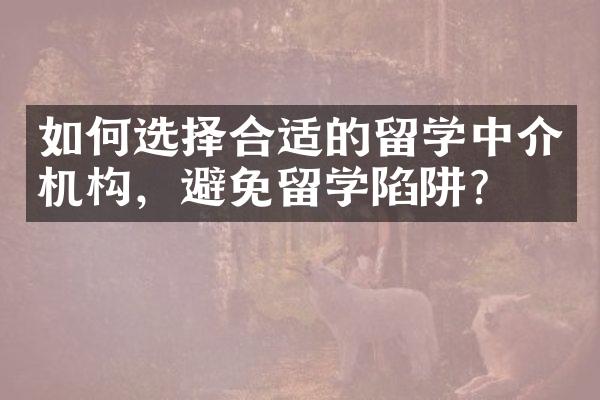 如何选择合适的留学中介机构，避免留学陷阱？