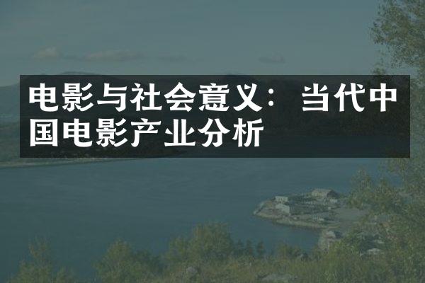 电影与社会意义：当代中国电影产业分析