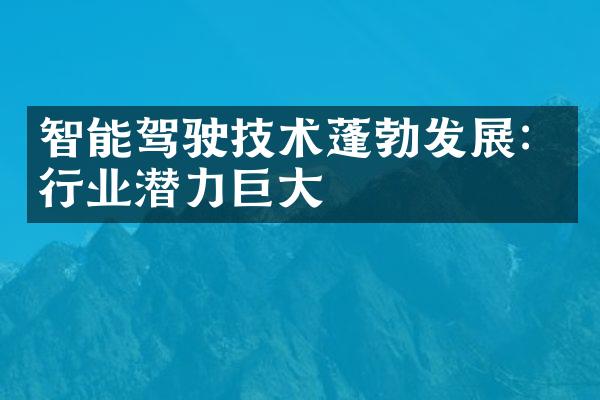 智能驾驶技术蓬勃发展：行业潜力巨大