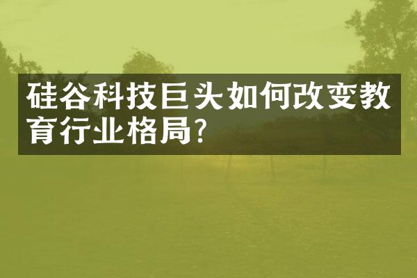 硅谷科技巨头如何改变教育行业格局？