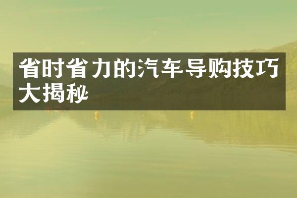 省时省力的汽车导购技巧大揭秘