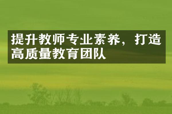 提升教师专业素养，打造高质量教育团队