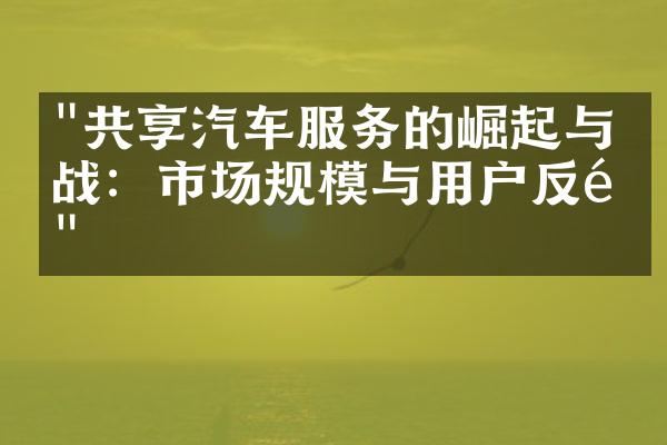 "共享汽车服务的崛起与挑战：市场规模与用户反馈"