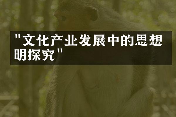 "文化产业发展中的思想文明探究"