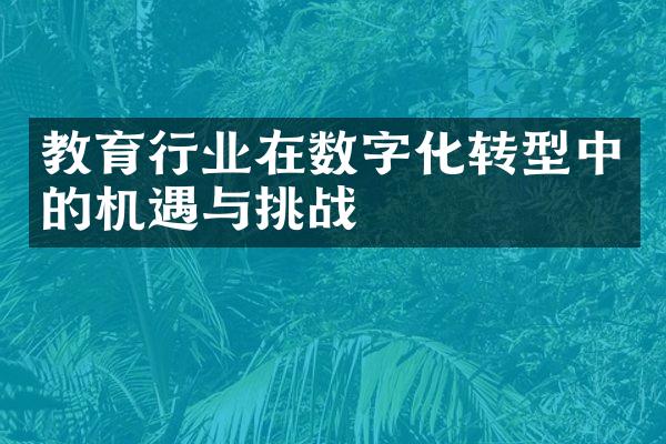 教育行业在数字化转型中的机遇与挑战