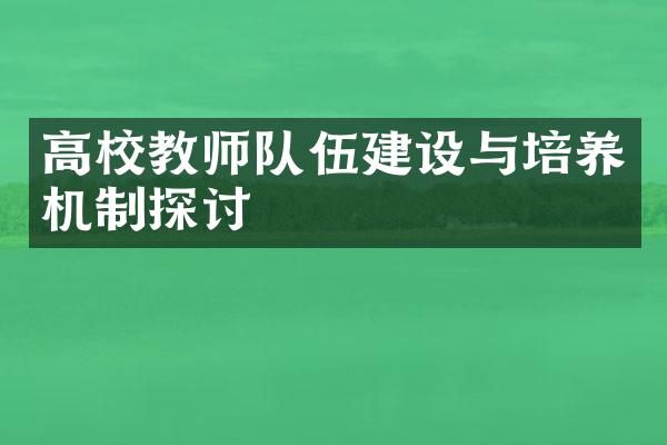 高校教师队伍建设与培养机制探讨