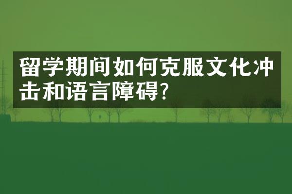 留学期间如何克服文化冲击和语言障碍？