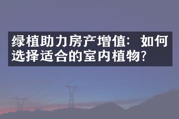 绿植助力房产增值：如何选择适合的室内植物？